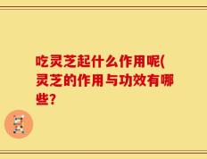 吃灵芝起什么作用呢(灵芝的作用与功效有哪些？