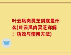 叶云凤肉灵芝到底是什么(叶云凤肉灵芝详解：功效与使用方法)