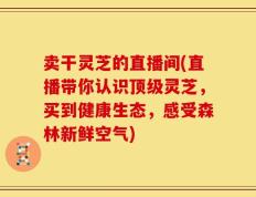 卖干灵芝的直播间(直播带你认识顶级灵芝，买到健康生态，感受森林新鲜空气)