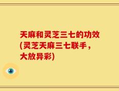 天麻和灵芝三七的功效(灵芝天麻三七联手，大放异彩)