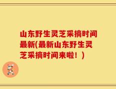 山东野生灵芝采摘时间最新(最新山东野生灵芝采摘时间来啦！)