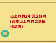 山上养的2年灵芝好吗(两年山上养的灵芝值得品尝)