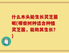 什么木头能生长灵芝菌呢(哪些树种适合种植灵芝菌，能助其生长？)