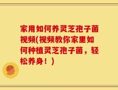 家用如何养灵芝孢子菌视频(视频教你家里如何种植灵芝孢子菌，轻松养身！)