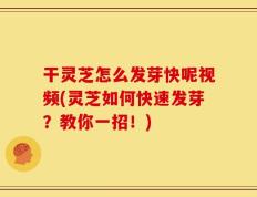 干灵芝怎么发芽快呢视频(灵芝如何快速发芽？教你一招！)