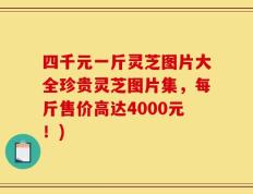 四千元一斤灵芝图片大全珍贵灵芝图片集，每斤售价高达4000元！)