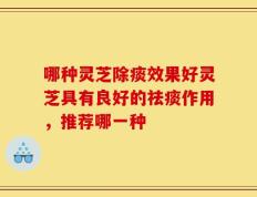 哪种灵芝除痰效果好灵芝具有良好的祛痰作用，推荐哪一种