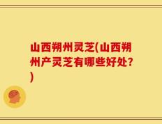 山西朔州灵芝(山西朔州产灵芝有哪些好处？)