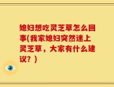 媳妇想吃灵芝草怎么回事(我家媳妇突然迷上灵芝草，大家有什么建议？)