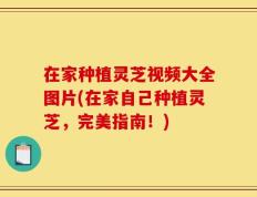 在家种植灵芝视频大全图片(在家自己种植灵芝，完美指南！)