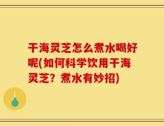 干海灵芝怎么煮水喝好呢(如何科学饮用干海灵芝？煮水有妙招)
