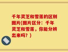千年灵芝和雪莲的区别图片(图片区分：千年灵芝和雪莲，你能分辨出来吗？)