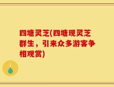 四塘灵芝(四塘现灵芝群生，引来众多游客争相观赏)