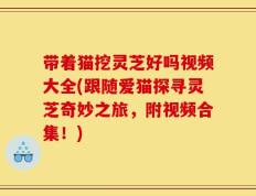 带着猫挖灵芝好吗视频大全(跟随爱猫探寻灵芝奇妙之旅，附视频合集！)