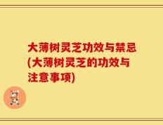 大薄树灵芝功效与禁忌(大薄树灵芝的功效与注意事项)