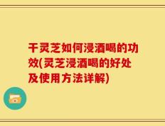 干灵芝如何浸酒喝的功效(灵芝浸酒喝的好处及使用方法详解)