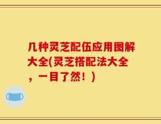 几种灵芝配伍应用图解大全(灵芝搭配法大全，一目了然！)