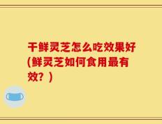干鲜灵芝怎么吃效果好(鲜灵芝如何食用最有效？)