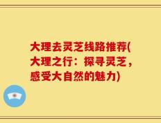 大理去灵芝线路推荐(大理之行：探寻灵芝，感受大自然的魅力)