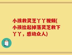 小孩救灵芝丫丫视频(小孩捡起掉落灵芝救下丫丫，感动众人)