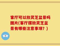 客厅可以放灵芝盆景吗图片(客厅摆放灵芝盆景有哪些注意事项？)