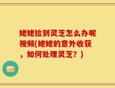 姥姥捡到灵芝怎么办呢视频(姥姥的意外收获，如何处理灵芝？)