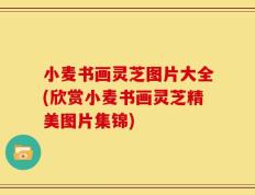 小麦书画灵芝图片大全(欣赏小麦书画灵芝精美图片集锦)