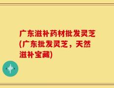广东滋补药材批发灵芝(广东批发灵芝，天然滋补宝藏)