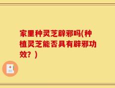 家里种灵芝辟邪吗(种植灵芝能否具有辟邪功效？)