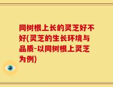 同树根上长的灵芝好不好(灵芝的生长环境与品质-以同树根上灵芝为例)