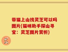 带猫上山找灵芝可以吗图片(猫咪助手探山寻宝：灵芝图片赏析)