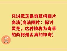 只说灵芝是奇草吗图片高清(高清图片：探讨灵芝，这种被称为奇草的药材是否真的神奇)