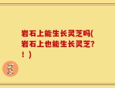 岩石上能生长灵芝吗(岩石上也能生长灵芝？！)