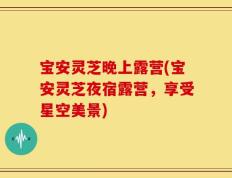 宝安灵芝晚上露营(宝安灵芝夜宿露营，享受星空美景)