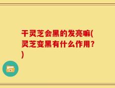 干灵芝会黑的发亮嘛(灵芝变黑有什么作用？)