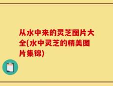 从水中来的灵芝图片大全(水中灵芝的精美图片集锦)