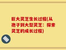 巨大灵芝生长过程(从孢子到大型灵芝：探索灵芝的成长过程)