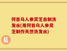 何首乌人参灵芝自制洗发水(用何首乌人参灵芝制作天然洗发水)