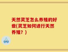 天然灵芝怎么养殖的好些(灵芝如何进行天然养殖？)