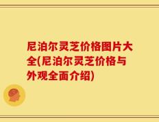 尼泊尔灵芝价格图片大全(尼泊尔灵芝价格与外观全面介绍)