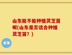 山东能不能种植灵芝苗呢(山东是否适合种植灵芝苗？)