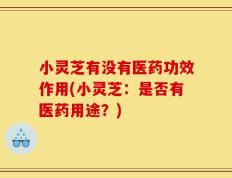 小灵芝有没有医药功效作用(小灵芝：是否有医药用途？)