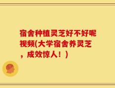 宿舍种植灵芝好不好呢视频(大学宿舍养灵芝，成效惊人！)