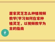 居家灵芝怎么种植视频教学(学习如何在家种植灵芝，以视频教学为主的指南