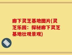 廊下灵芝基地图片(灵芝乐园：探秘廊下灵芝基地壮观景观)