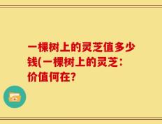 一棵树上的灵芝值多少钱(一棵树上的灵芝：价值何在？
