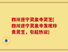 四川遂宁灵泉寺灵芝(四川遂宁灵泉寺发现珍贵灵芝，引起热议)