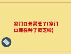 家门口长灵芝了(家门口现在种了灵芝啦)