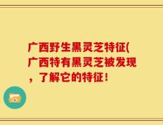广西野生黑灵芝特征(广西特有黑灵芝被发现，了解它的特征！