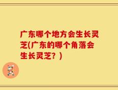 广东哪个地方会生长灵芝(广东的哪个角落会生长灵芝？)